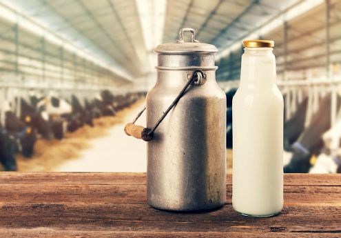 Produção de leite cai com piora na rentabilidade do produtor